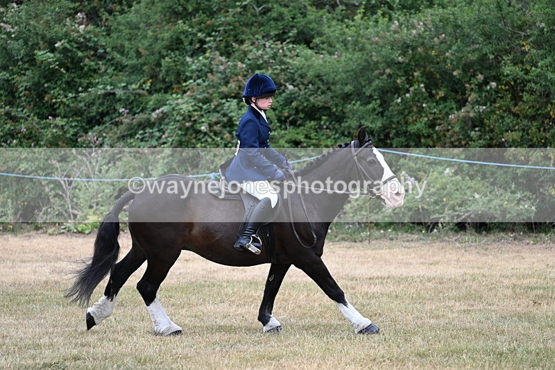 WJ7_0359 - Class 2 Best rider