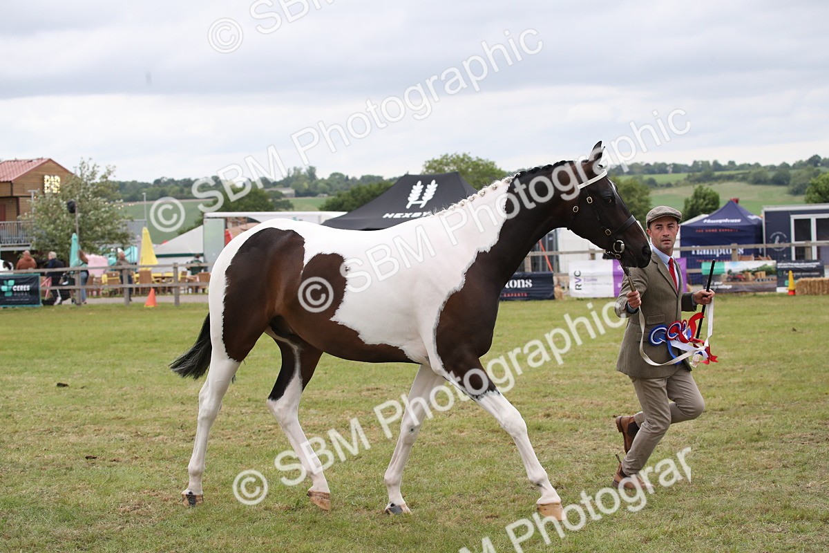 SBM_09919 - Ch 50 - Price Family Supreme In Hand