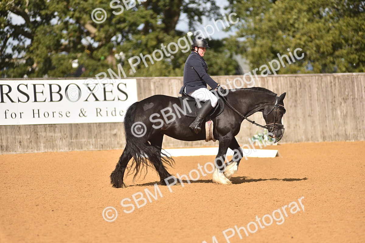 SBM_03026 - D4 - Small Tour Championship Intro 4