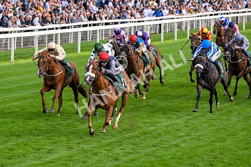 190826-Race 6-Miss Yechance-0717 - Race 6 16.45pm Irish Thoroughbred Marketing Handicap
