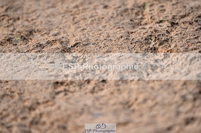 231101A-122244-00249 - Cls 4 Members 1.15m & Open