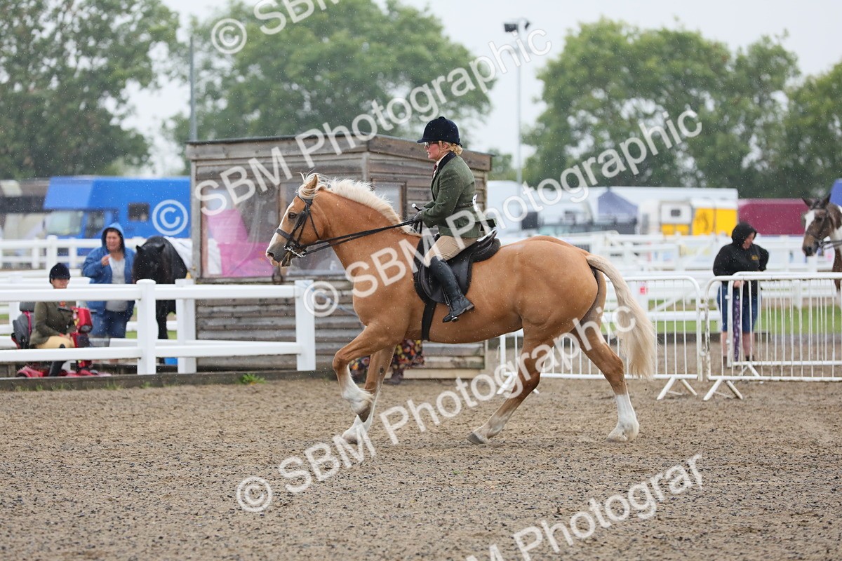 SBM_20343 - Class 803 - Ridden Combination 65+