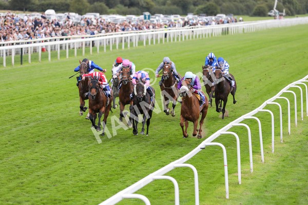 240824-Race 1-See The Fire-8872 - Race 1 1.50pm Sky Bet Strensall Stakes