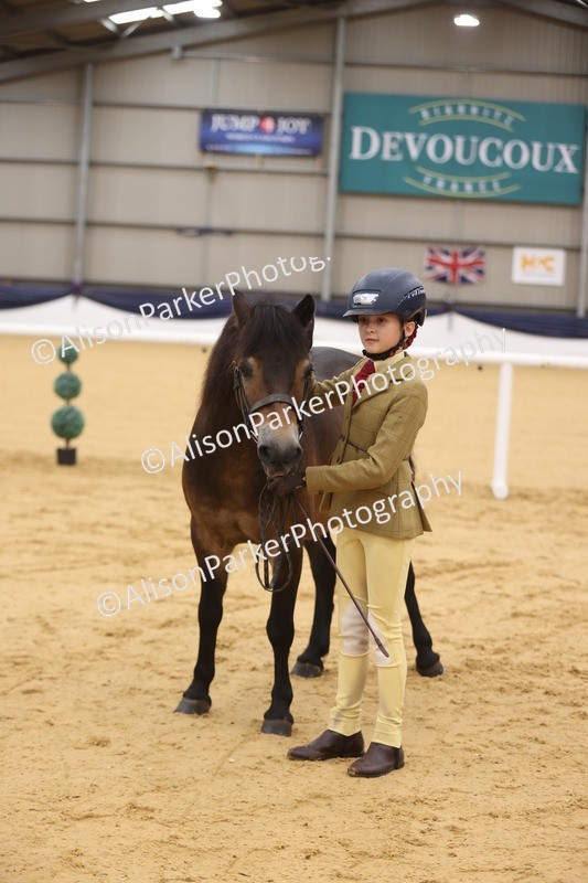 20260913-1139 - Class 110 - Bred In Other In Hand