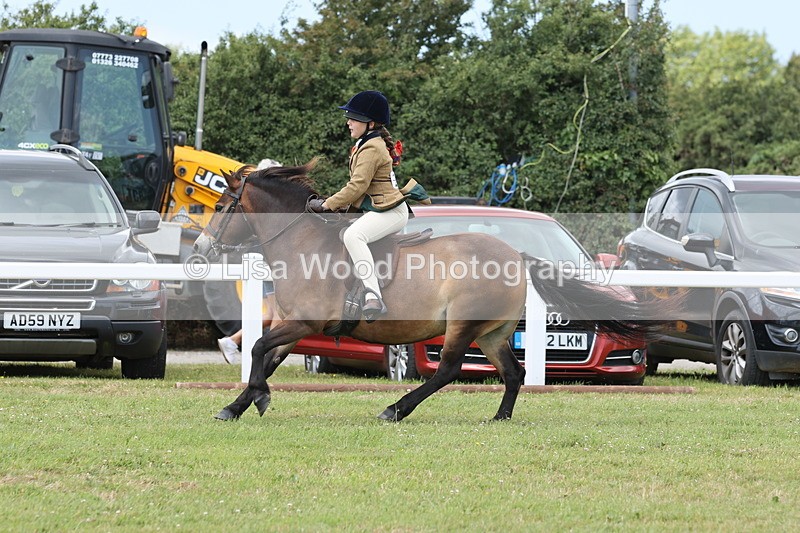JPP_1936 - Class 18: Tiny Tots Working Hunter Pony