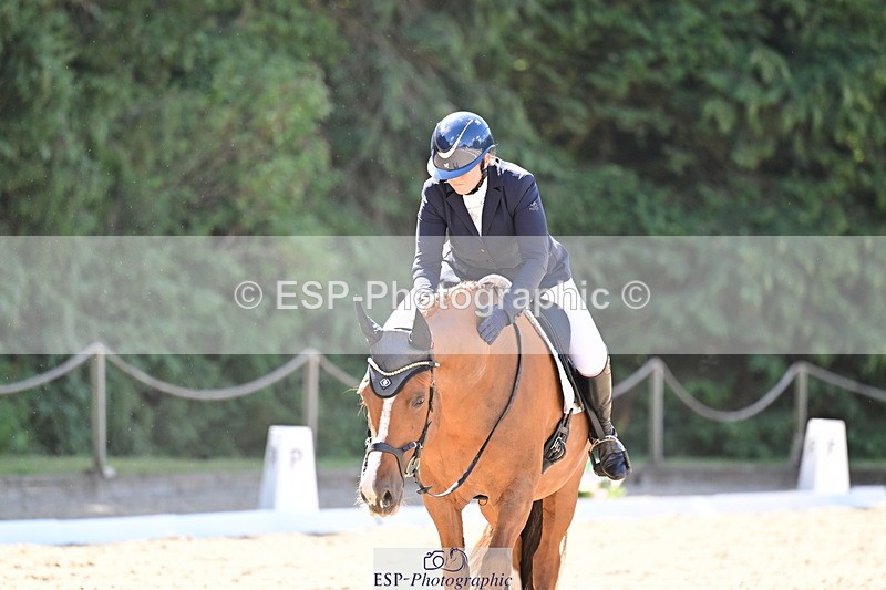 260731A-111834-00311 - Elementary Bronze 10.30 - Break