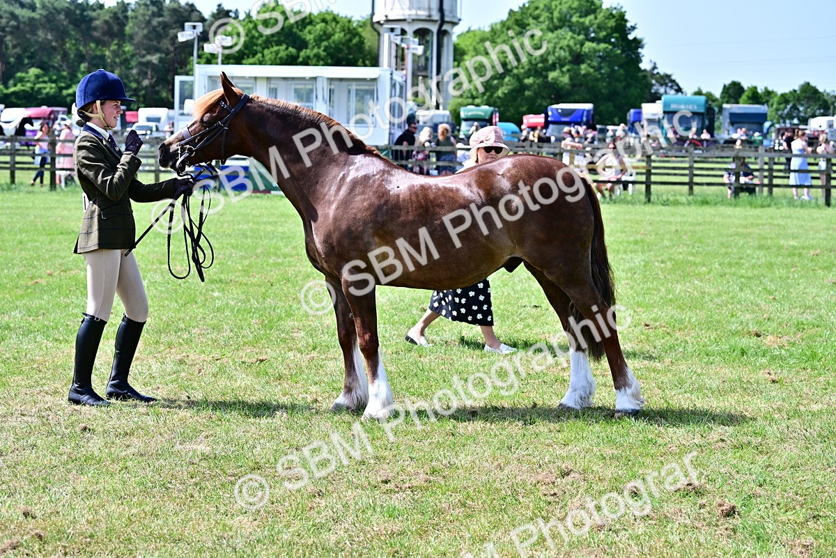 SBM_03874 - Class 58 - TSR  Ridden Veteran Amateur of the year
