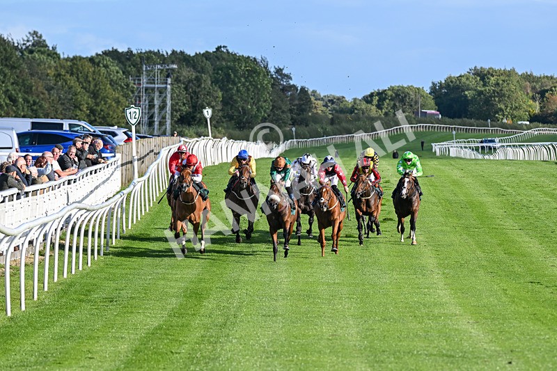 080926-Race 7-Military Girl-3274 - Race 7 5.21pm RMG Proudly Supports Teenage Cancer Trust Handicap