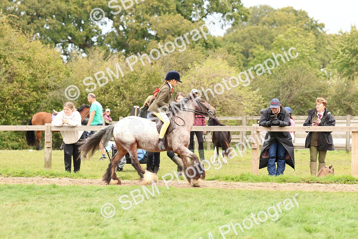 SBM_64444 - S58 - Coloured Pony Ridden