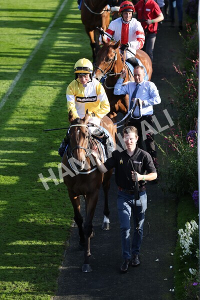 yr08102021r5-9 - Race 5 4.20pm Copper Knight - Winning Most Horse At York Handicap