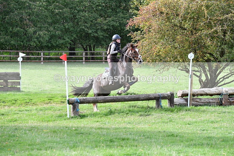 WJ5_0528 - Time 13:59 to 14:28