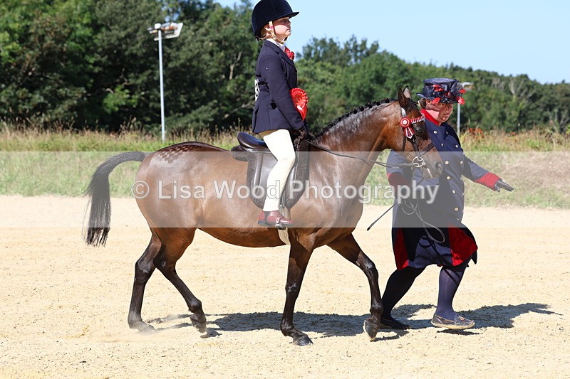 3E7A8079 - Class 15: Lead Rein