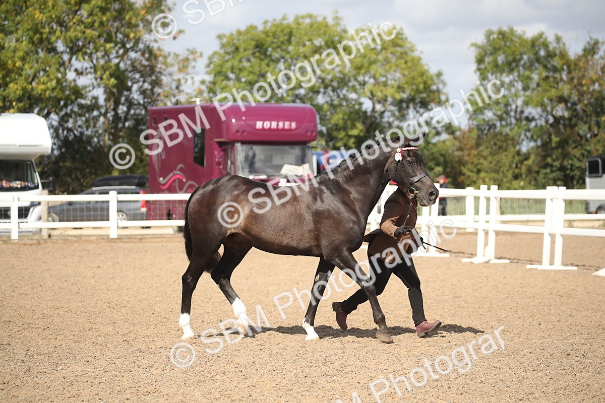 SBM_23418 - Class 604 - 2026 - Area IH Diamond