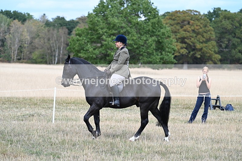 WJ7_5759 - Class 13 Ridden Veterans