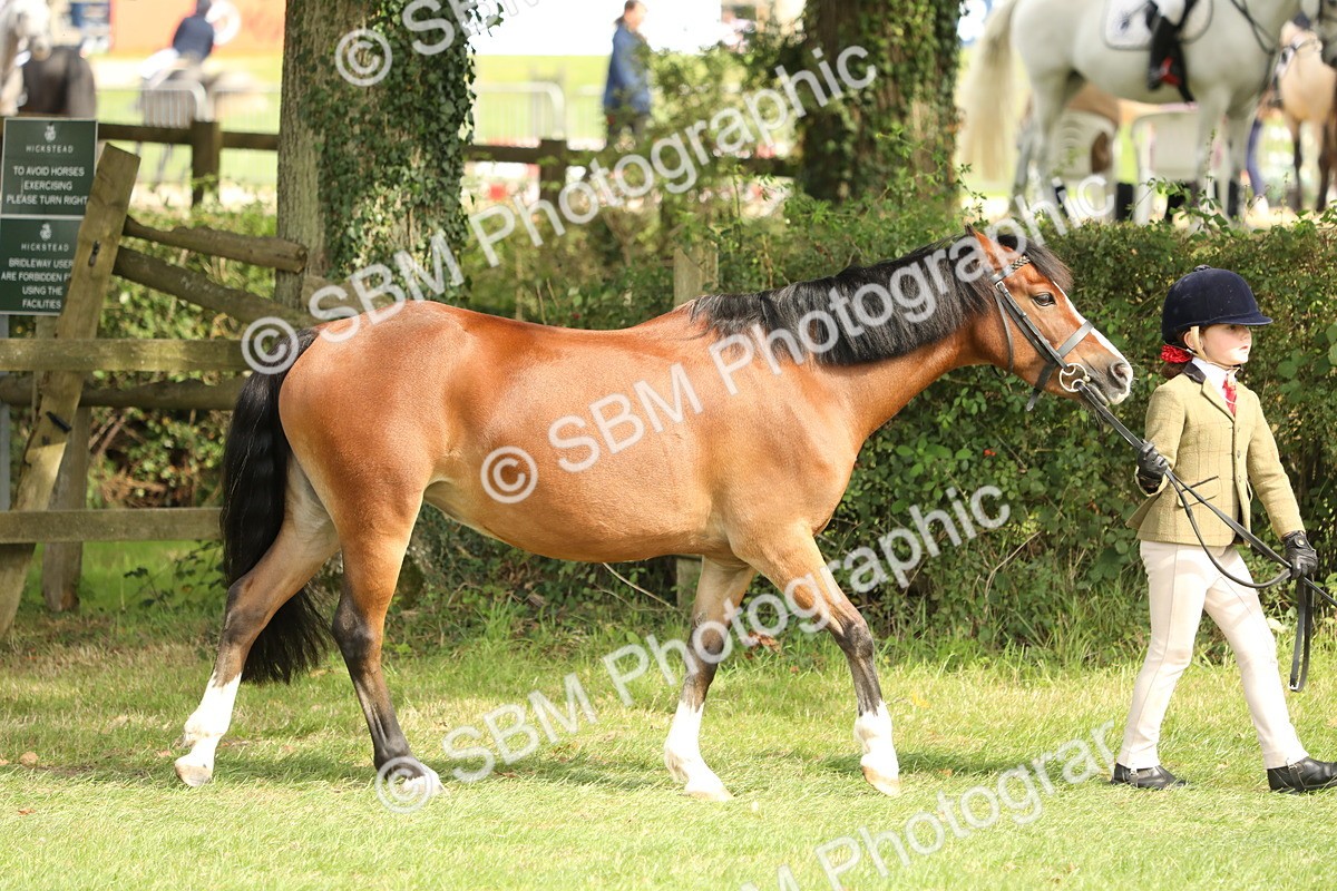 SBM_67676 - S39 - Junior Handler 8  Years & Under