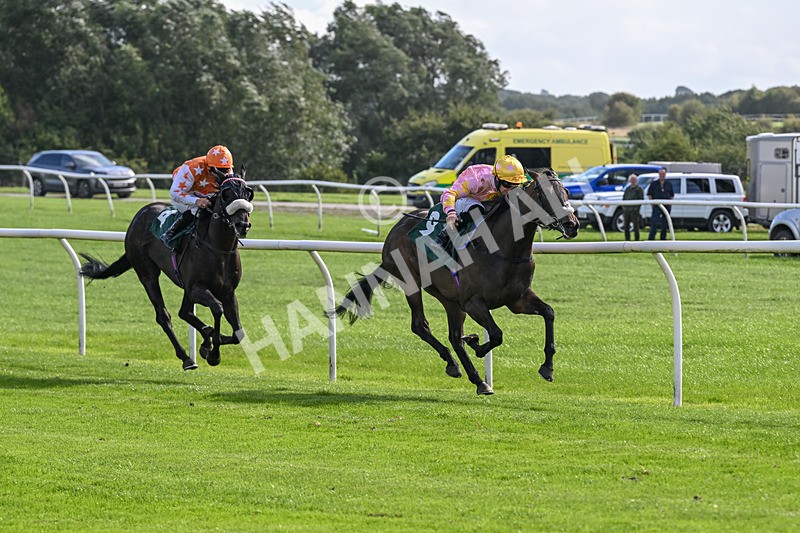 080926-Race 3-Battenburg Belle-2279 - Race 3 3.03pm Fifth Regiment Royal Artillery Handicap (Div I)