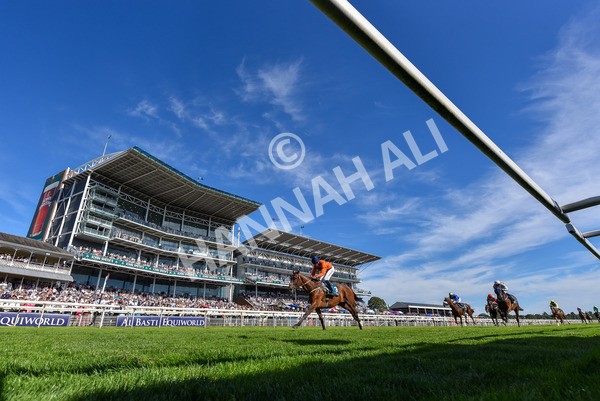 120725-Race 6-Terrorise-7245 - Race 6 4.45pm John Smith's Stayers' Handicap