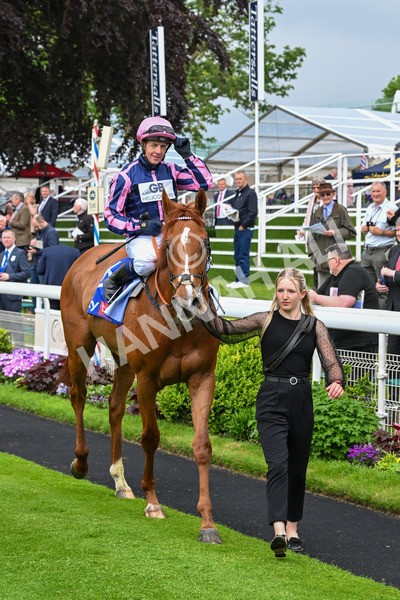150524-Race 1-Crystal Delight-3670 - Race 1 2.15pm Sky Bet Race To The Ebor Jorvik Handicap