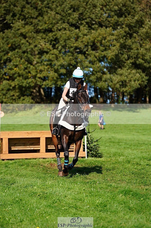 241026-124038-13567 - 444-Tatiana.Wharton-NO.TOMMY.NO