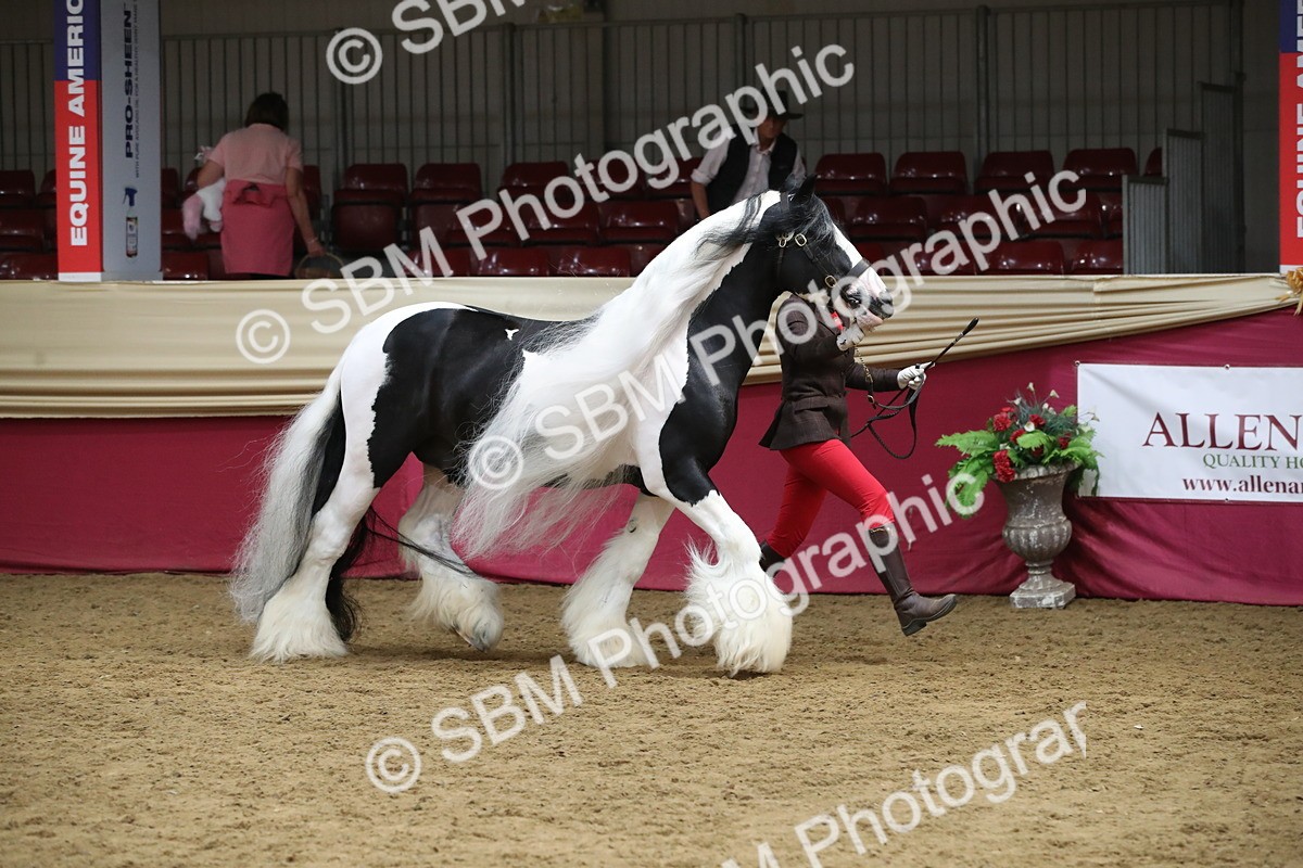 SBM_05474 - Class 9R - Regional IH Pre-Vet