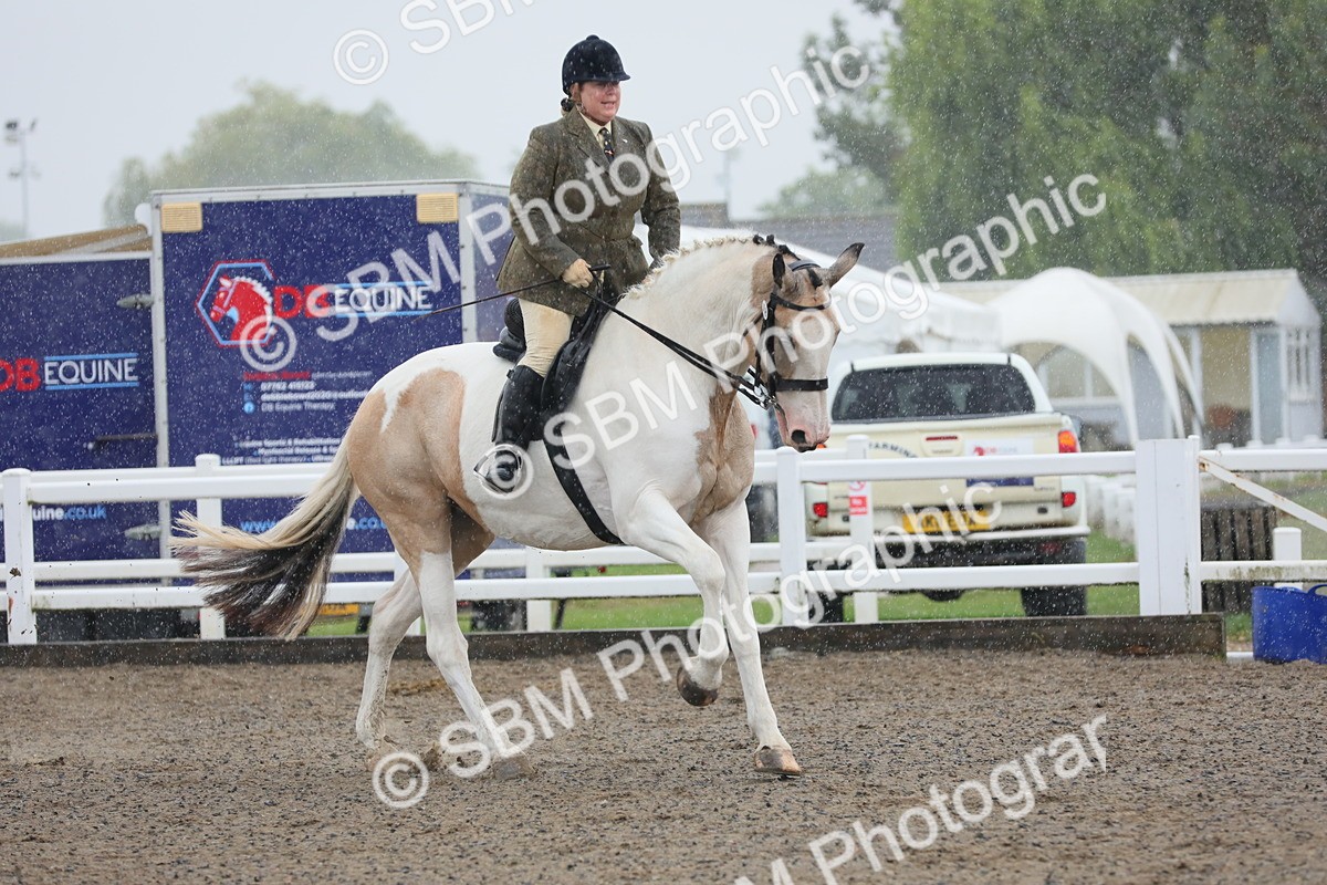 SBM_20355 - Class 803 - Ridden Combination 65+