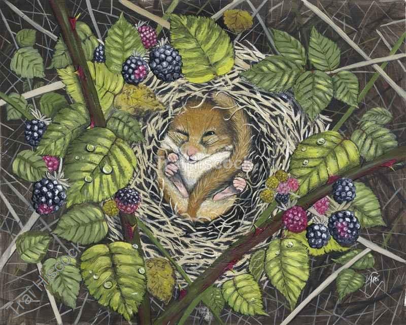  - Wildlife