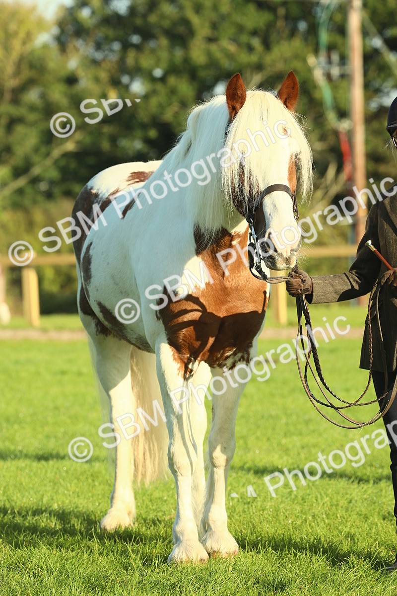 SBM_57472 - S37 - Starters In Hand Showing
