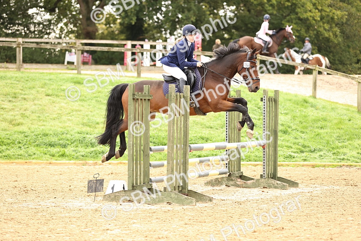 SBM_58494 - J41 - Grand Tour Horse & Pony 95cm