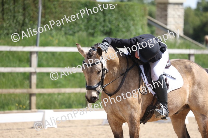 20250520-0808 - Class 5 - Novice 2