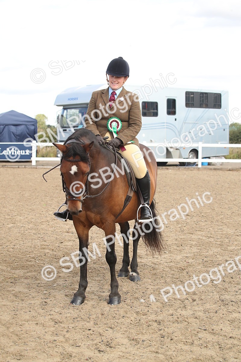 SBM_14593 - Class 505a - M&M Working Veteran - 50cm (15-19)