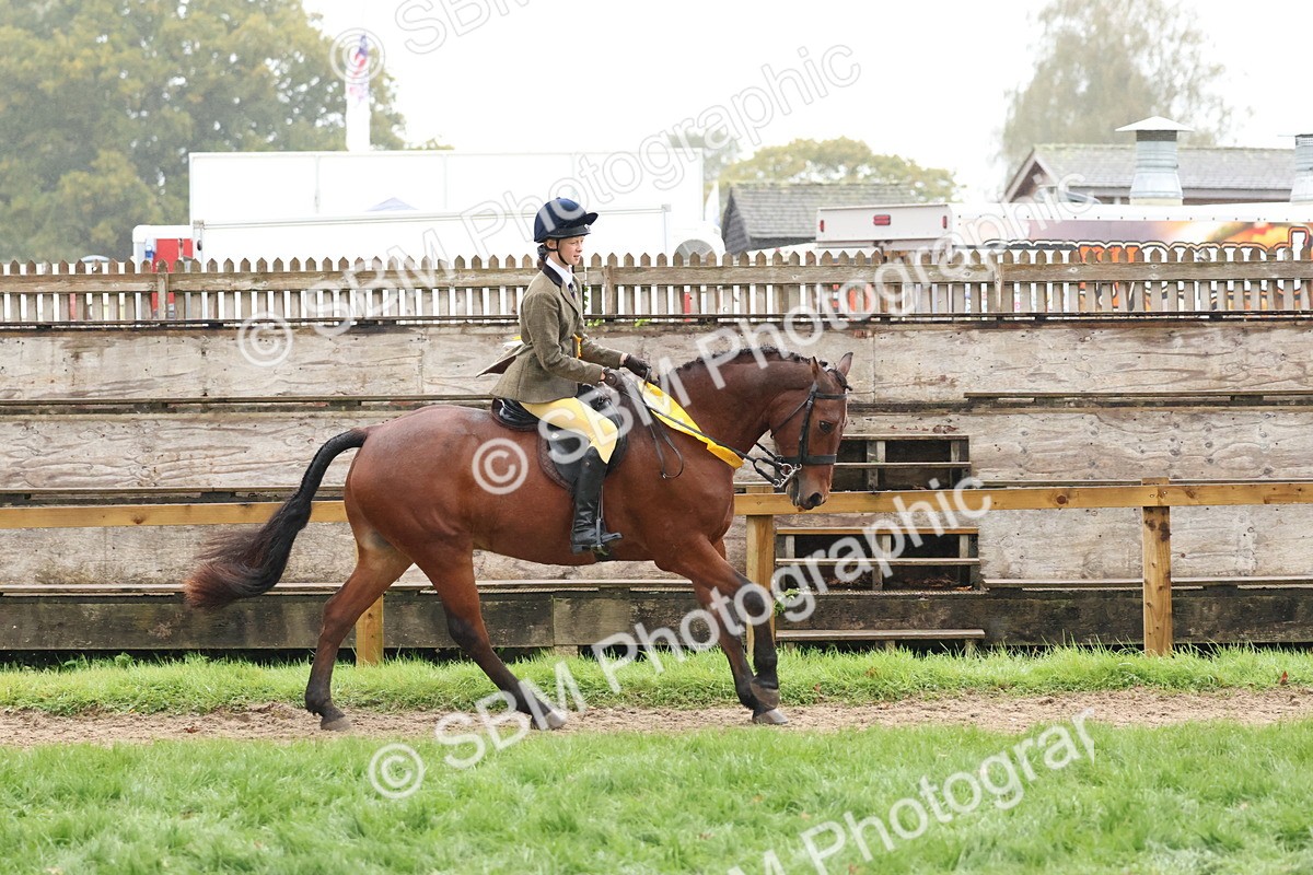 SBM_73133 - Ridden Pony Supreme Championship