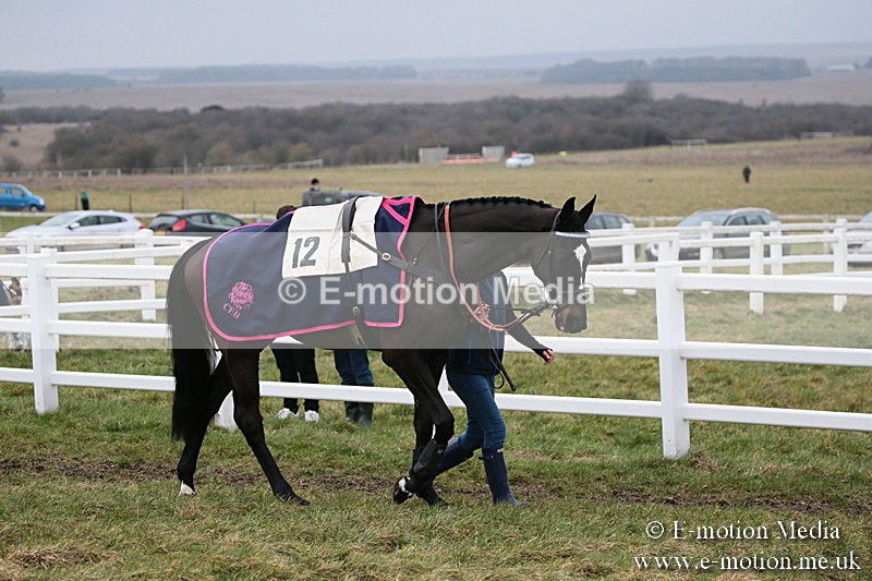 PtP 170219 -44 - Combined Services Point-To-Point Larkhill 17/02/19