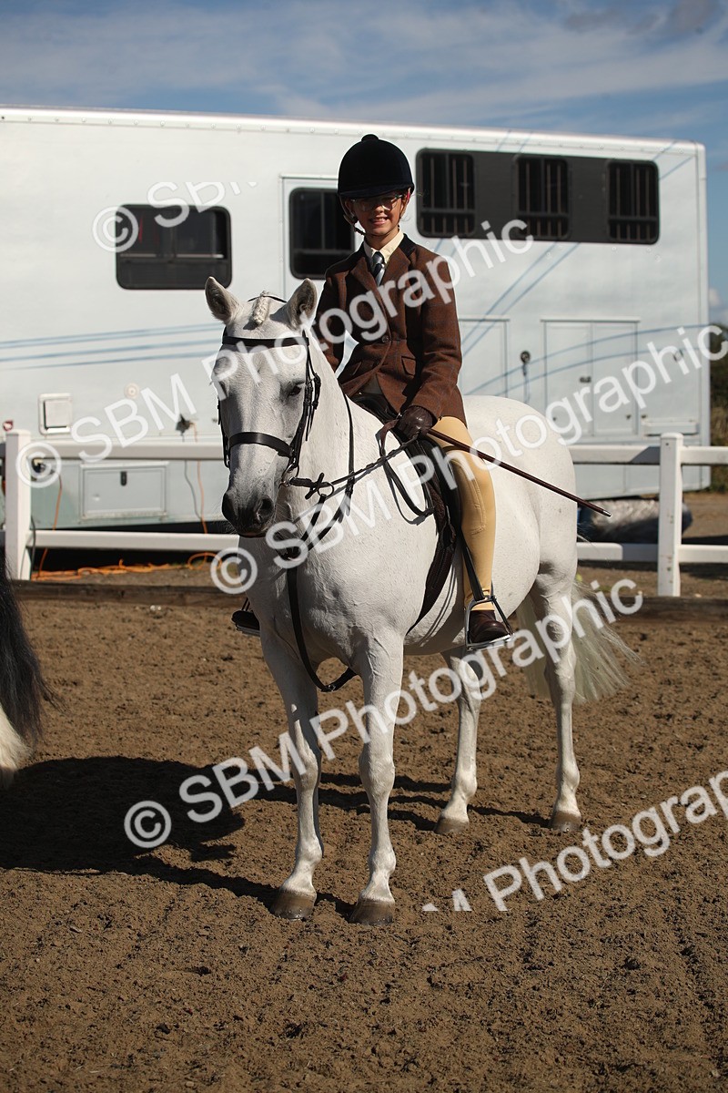 SBM_12765 - Class 504b - Junior Working Veteran - 40cm (20+)