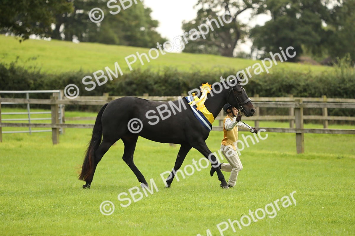 SBM_75424 - Equitation Supreme Championship