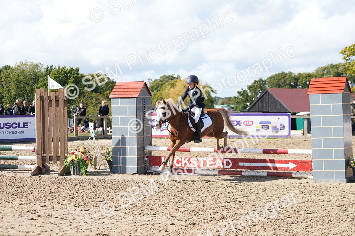 SBM_46536 - J7 - Junior Pony 60cm Championship