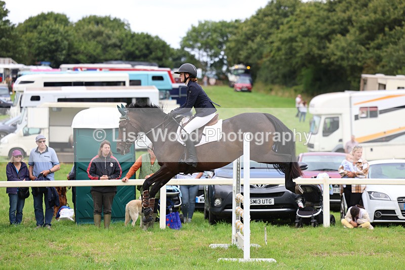 3E7A7018 - Class 5: Senior British Novice/90cm open