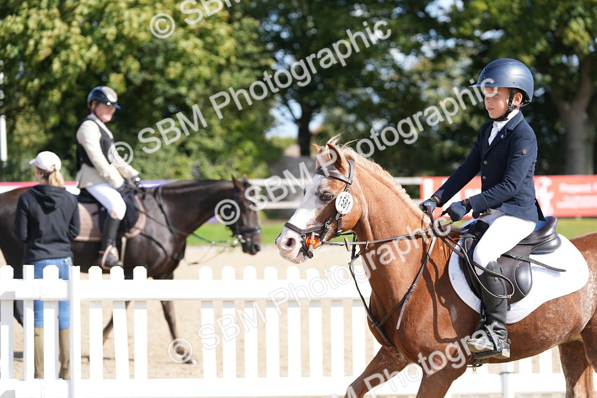 SBM_46515 - J7 - Junior Pony 60cm Championship