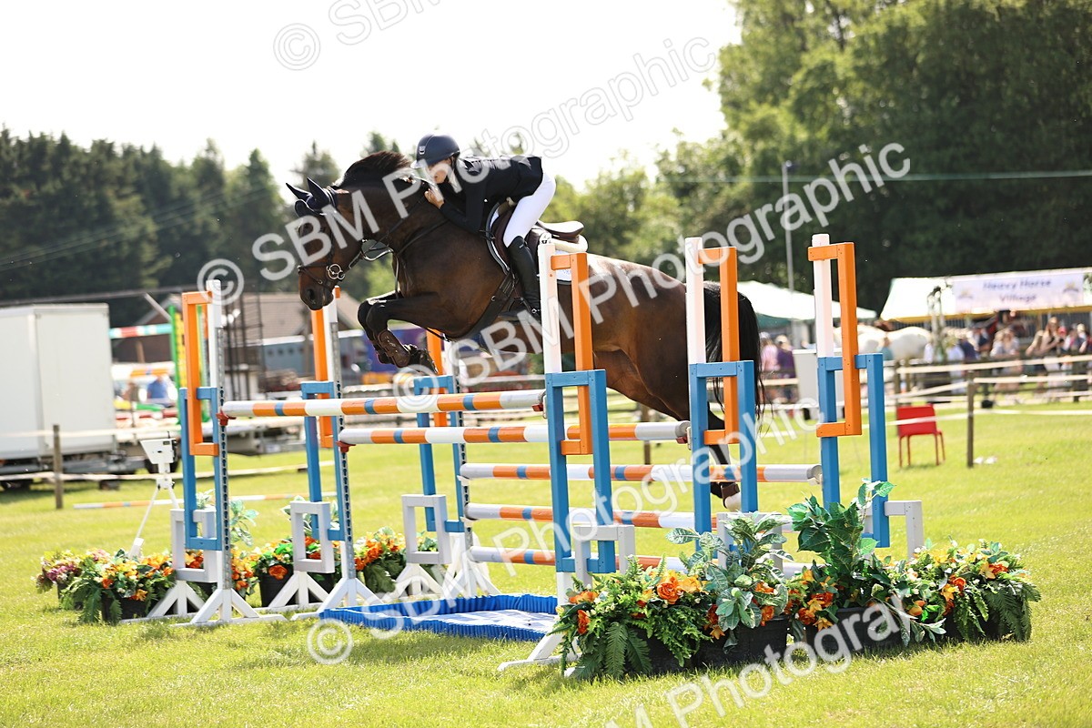 SBM_03136 - Class 201 - British Horse Feedds Speedi Beet HOYS Grade C