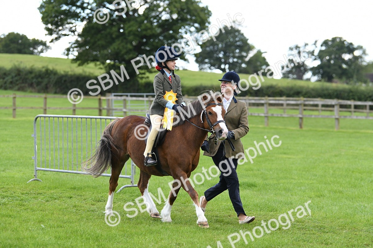 SBM_42710 - S20 - Lead Rein Mountain & Moorland Pony