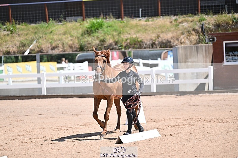 250716-123623-00063 - Trot Up 12.30 to 1.30