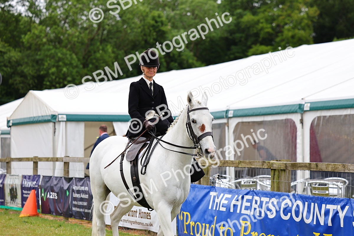 SBM_02684 - Class 9-11 Side Saddle including LIHS Rising Star Ladies Show Horse