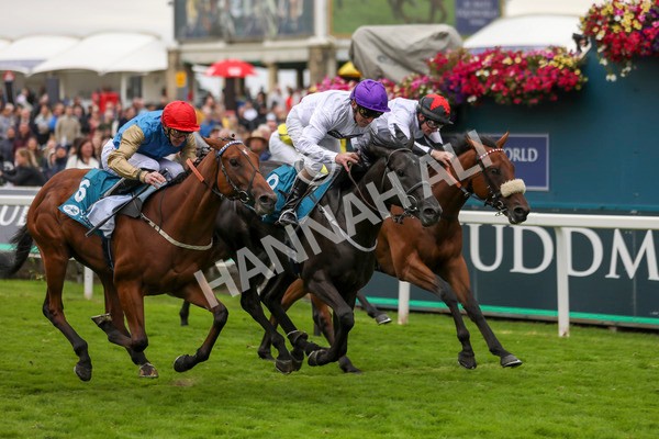 210824-Race 7-Yes Im Mali-7494 - Race 7 5.20pm Sky Bet Nursery Handicap
