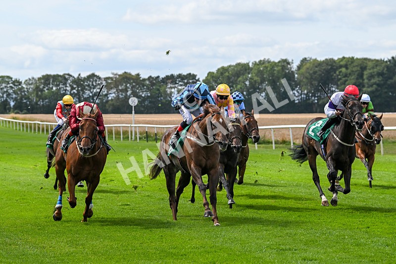 080825-Race 1-Golden Prosperity-1744 - Race 1
