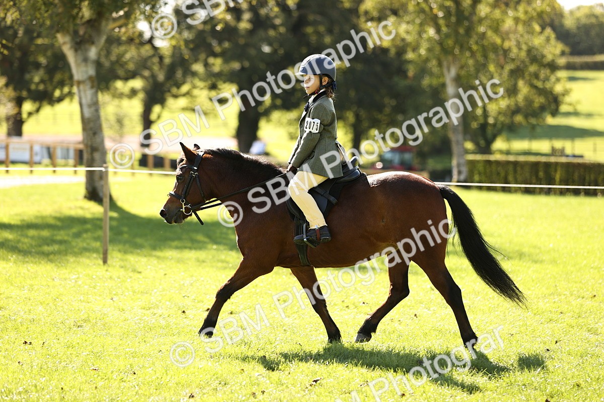 SBM_19263 - S3 - TSR Ridden Pony Showing