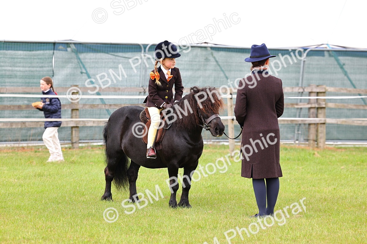 SBM_08169 - Class 42-43 - LIHS BSPS Heritage Working Sports Pony
