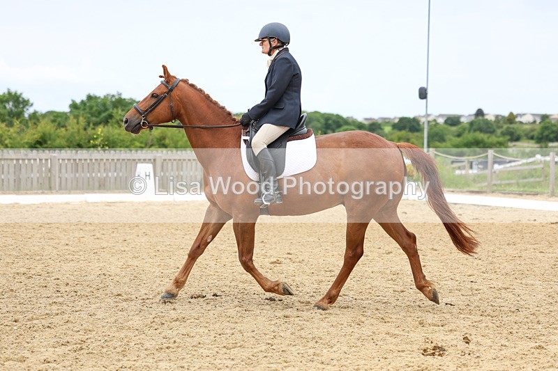 3E7A9398 - Class 2: Intro 1 2024 Section B