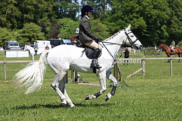 IMG_3533 - Working Hunter