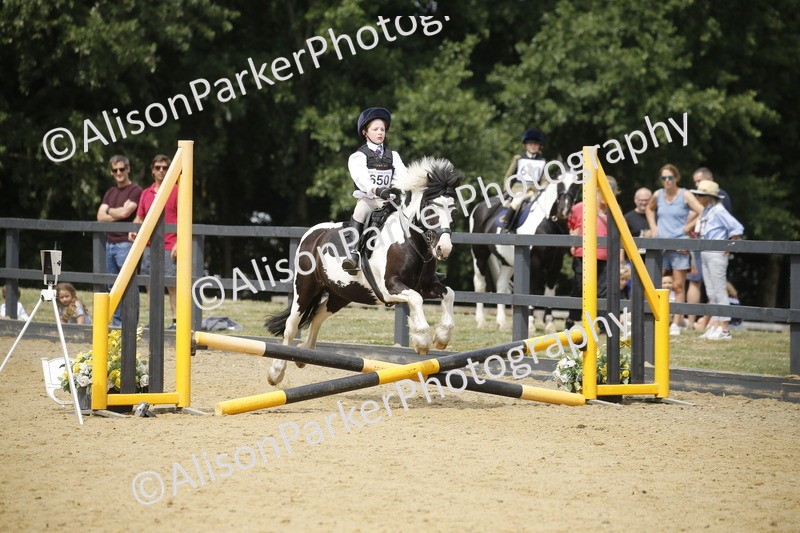 20250622-4626 - 50cm