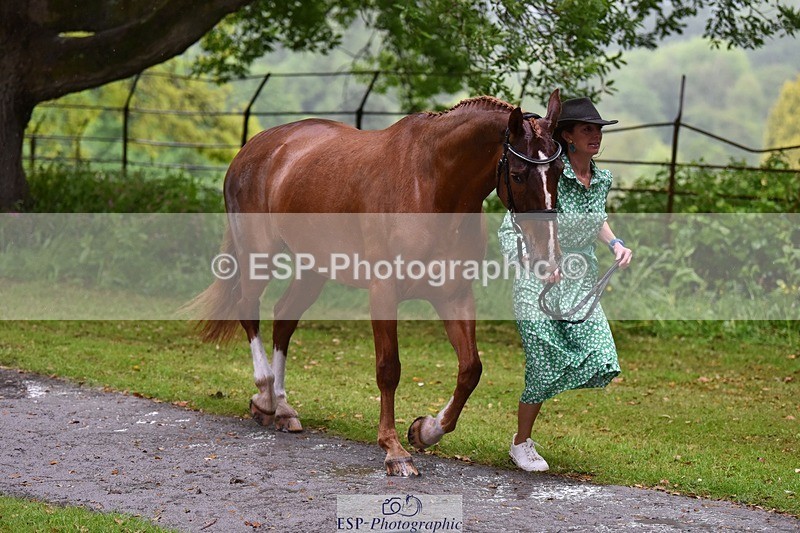 240522-153310-00424 - 367-CROSSTOWN_FINTANS_LAST-Catherine_Burrell