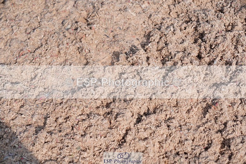 250608-090720-01684 - Cls 2 Pony Intro 70cm